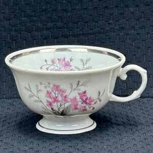 Karolina Poland China Teacup Pink Floral Silver Trim Vintage Porcelain 3879 17
